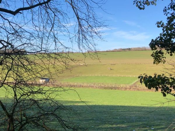 Farley Mount